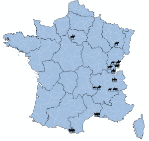 Randonnees-equestre-AB-France-2024